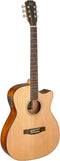 J.N Guitars Bessie BES-ACE Natural E/A westerngitaar