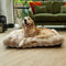 Scruffs - Alpine Mattress - Hondenkussen - Champagne - X-Large 120 x 75 cm