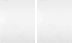 vidaXL - Spiegelfolies - 2 - stuks - zelfklevend - 90x150 - cm - PET