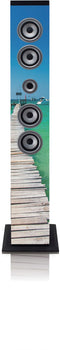 Ices IBT-6 - Bluetooth speaker - FM radio USB SD - Sea