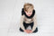 Little Indians sweater Triangle blauw 9-12 maanden (74-80)
