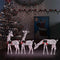 vidaXL - Rendierfamilie - Kerstmis - warmwit - 270x7x90 - cm - mesh - goudkleurig