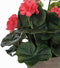 Mica Decorations Geranium Kunstplant in Bloempot Stan - H34 x Ø20 cm - Zalmroze
