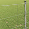 vidaXL - Veldomheining - 1x25 - m - Gegalvaniseerd - Staal