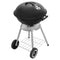 Fieldmann FZG 1009 - Houtskoolbarbecue - RVS - Zwart