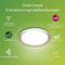 Philips Pebblo plafondlamp - Ultra Efficient - SceneSwitch 10W - Warmwit - Wit met goud design