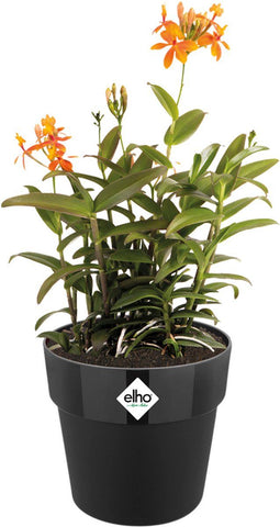 Elho B.for Original Rond 25 - Bloempot voor Binnen - 100% Gerecycled Plastic - Ø 24.7 x H 23.2 cm - Living black