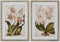 Schilderij Home ESPRIT Tropisch Orchidee 50 x 2,5 x 70 cm (2 Stuks)