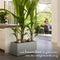 Elho Vivo Next Lang 60 - Plantenbak voor Binnen & Buiten - 100% Gerecycled Plastic - L 59.0 x H 29.2 cm - Living Concrete