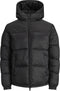 Jack & Jones JJDREW PUFFER HOOD - Puffer met capuchon - Zwart - Maat L