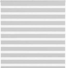 vidaXL - Zebra - rolgordijn - 145x100 - cm - stofbreedte - 140,9 - cm - lichtgrijs