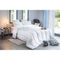 Anti-mijt dekbed gematigd - 300 gr/m² - BLANREVE - 260 x 240 cm - Wit
