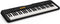 Casio CT-S100 - Beginners keyboard - 61 toetsen - Zwart