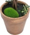 vidaXL - Kunstplanten - met - pot - 2 - st - buxus - bolvorming - 41 - cm - groen