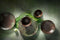 Palmer Schaal Jungle Aurora 11 cm 40 cl Groen Bruin Stoneware 6 stuk(s)