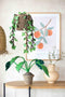 KidsDepot Plant monstera Vilt - Sierplant - Kunstplant - Kinderkamer of woonkamer