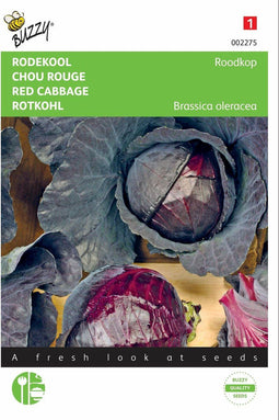 2 stuks - Buzzy - Rodekool Roodkop 2 3