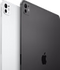 Apple iPad Pro (2024, M4 series) - Spacezwart - 2000 GB - WiFi + 5G