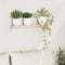 vidaXL - Wandrek - 62x10x12,5 - cm - Massief - Hout - Notenhout