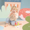 New Classic Toys® Houten IJsjes Speelgoed - 6-delige Set - Kleurrijke IJsjes met Standaard (6 stuks)