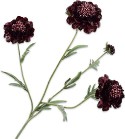 Silk-ka Kunstbloem-Zijden Bloemen Scabiosa Tak Paars 80 cm
