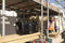 PerfectPro Rockbull - Bouwradio - DAB+ FM - 50 Watt - Zwart