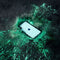 MOUS Clarity Apple iPhone 11 Hoesje Transparant