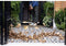 BLACK+DECKER BEBLV301-QS - Tuinruimer 3000W - 3IN1 Blazen Zuigen Versnipperen