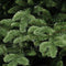 Triumph Tree Abies Nordmann deluxe kunstkerstboom - 230 x 160 cm - donkergroen