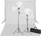 vidaXL - Studioset - met - groene - achtergrond - en - lampen - 600x300 - cm