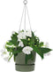 Elho Greenville Hangschaal 24 - Hangpot voor Buiten - 100% Gerecycled Plastic - Ø 23.5 x H 20.5 cm - Blad groen