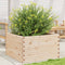 vidaXL - Plantenbak - 80x80x46 - cm - massief - grenenhout
