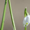 Customize it - Tuinschilderij koolmees lel 130x70