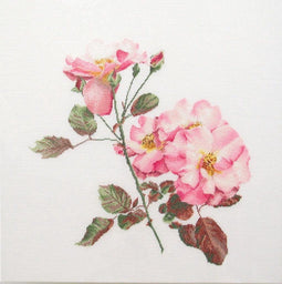 Thea Gouverneur - Borduurpakket met telpatroon - 412 - Voorgesorteerde DMC Garens - Rosa Leersum Roos - Linnen - 44cm x 44cm
