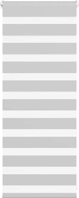 vidaXL - Zebra - rolgordijn - 60x100 - cm - stofbreedte - 55,9 - cm - lichtgrijs