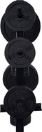 Tunturi Schijvenstandaard - Halterschijf standaard - Geschikt voor Ø 30 mm - Zwart