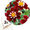 Plant in a Box - Dahlia 'Mary Evelyn' - set van 3 - zomerbloeiers - dahliaknollen - tuinbloemen - Rood/Wit/Geel