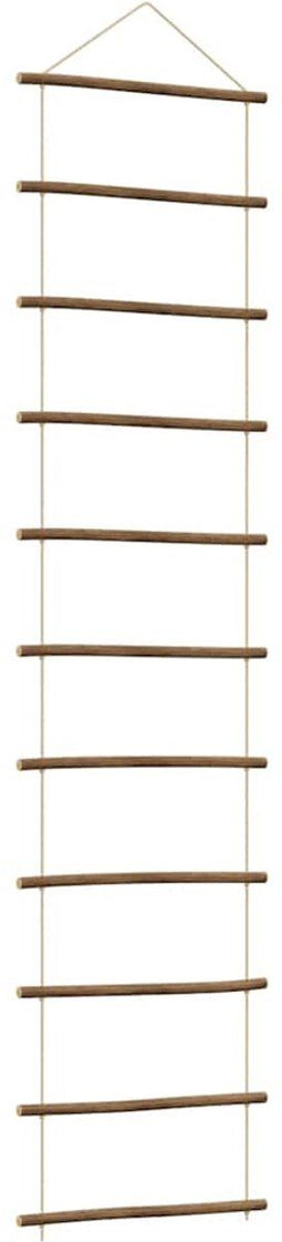 vidaXL - Wanddecoratie - laddervormig - 50x200 - cm - naturel - tak