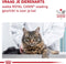 Royal Canin Veterinary Diet Urinary S/O - Kattenvoer - 3.5 kg