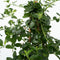 Plant in a Box - Ceanothus thyrsiflorus Repens - Set van 2 - Voorjaarsbloei - Glanzend blad - Wintergroene struik - Pot 17cm - Hoogte 60-70cm