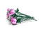 LEGO Botanicals - Roze Rozenboeket - 12 rozen - (10374)