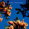 Danny Vera - The Way Home - LP - Coloured Vinyl