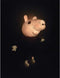 Peppa Pig Knuffel Glow in the Dark - ± 25 cm - Pluche
