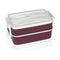 Lunchtrommel met Compartimenten en Bestek ThermoSport Plastic
