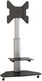 SpeaKa Professional SP-TVRW-01 - TV-wagen - In hoogte verstelbaar 81,3 cm (32) - 139,7 cm (55) - Kantelbaar