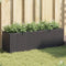 vidaXL - Plantenbak - met - 3 - potten - 105x30x32 - cm - poly - rattan - zwart