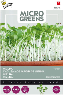 5 stuks - Buzzy - Microgreens Mizuna