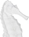 Decoratieve figuren Wit Zeepaardje 11 x 9 x 31 cm