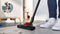 Bosch BGS7PET1 - Stofzuiger - ProAnimal zuigmond - HEPA 13