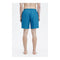 Classic Swimshort (Runaway Ocean mt.S)